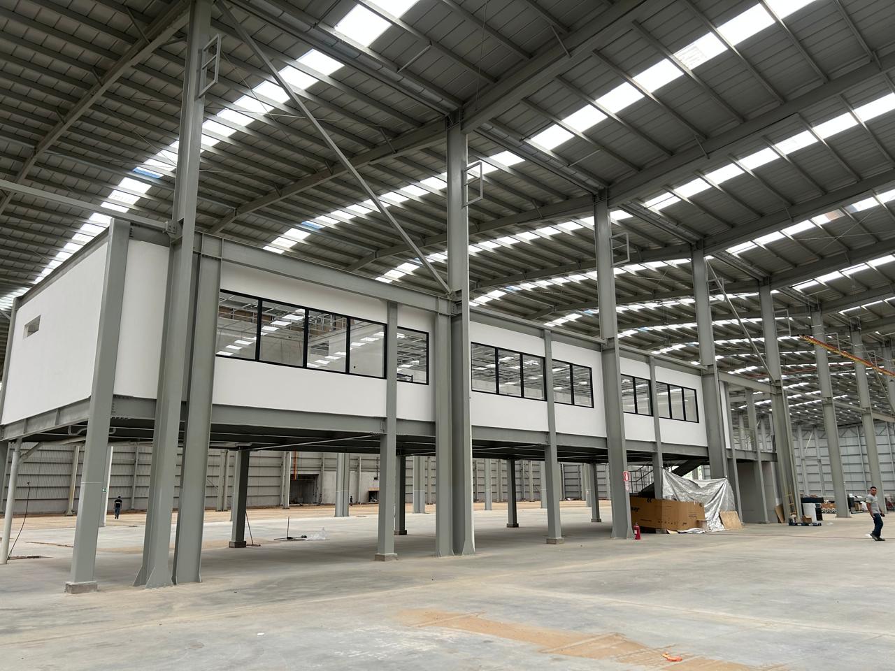 Megaplanta Jocotillo — imagen 2