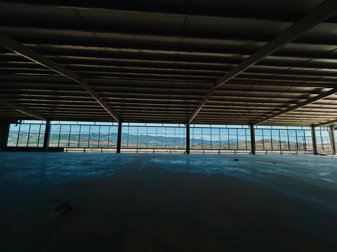 Megaplanta Jocotillo